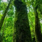 引き取り可能物件